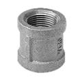 Straight Coupling - Malleable Iron (Ward)